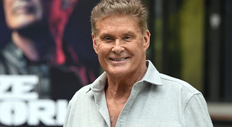 US-Sänger David Hasselhoff
