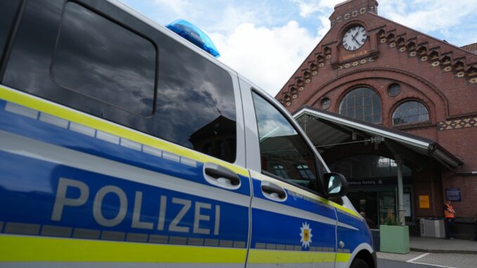Bahnhof Harburg Nach der Bedrohung von zwei Frauen in einem Zug nimmt die Bundespolizei einen Tatverdächtigen fest. (Symbolbild)