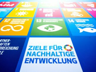 Rot-Grün will eigene Nachhaltigkeitsstrategie für Hamburg festlegen. (Symbolfoto)