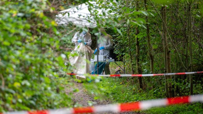 Spurensicherung am Tatort Mitarbeiter der Spurensicherung arbeiten nach dem Leichenfund auf einem abgesperrten Waldweg.