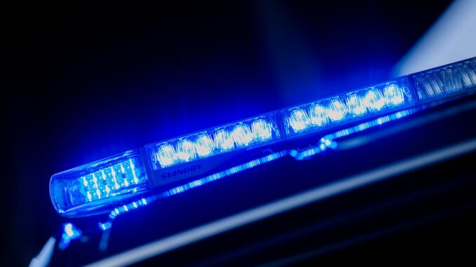 Ein Blaulicht leuchtet auf einem Einsatzwagen der Polizei Ein Mann soll seine ehemalige Partnerin in Hamburg mit einem Messer und einem Holzknüppel schwer verletzt haben. (Symbolfoto).