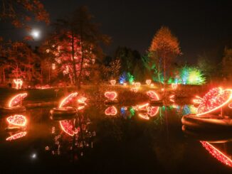 Der Christmas Garden endete am Sonntag. (Archivfoto)