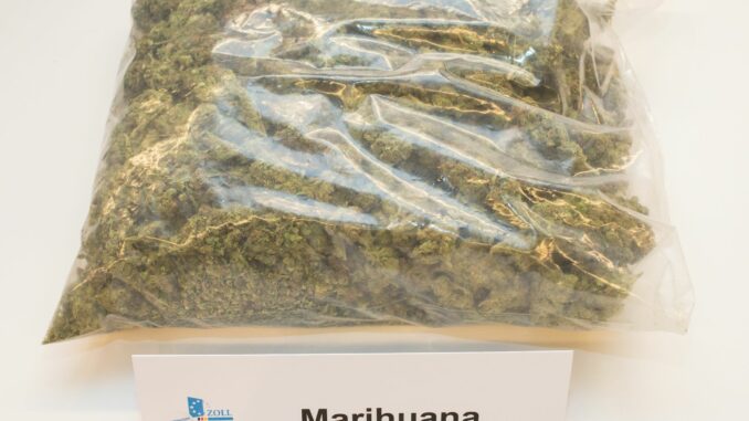 Marihuana Mehr als 20 Kilogramm Marihuana hat die Hamburger Polizei bei einer Drogenrazzia in Hamburg und Schleswig-Holstein sichergestellt. (Symbolbild)