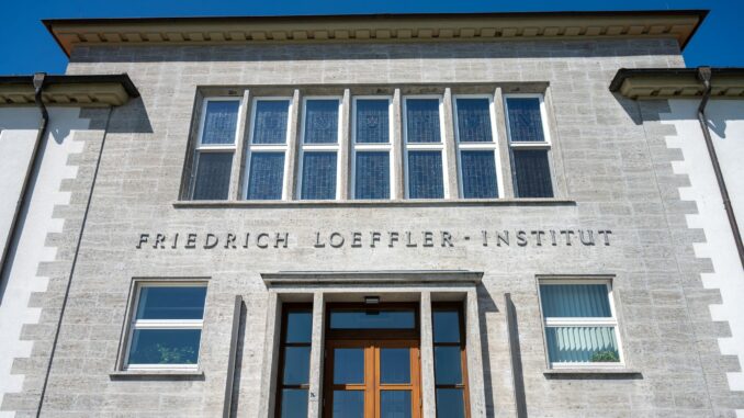 Friedrich-Loeffler-Institut Das Friedrich-Loeffler-Institut hat einen weiteren Fall von Vogelgrippe in Schleswig-Holstein nachgewiesen. (Archivbild)