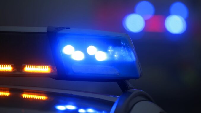 Polizeiauto mit Blauchlicht Ein entlaufender Hund führt zu einer Vollsperrung der A7. (Symbolbild)