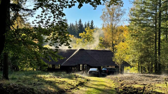 Steuer-Sonderfall Sachsenwald Der Forstgutsbezirk Sachsenwald hat Geld aus dem kommunalen Finanzausgleich bekommen. (Symbolbild)