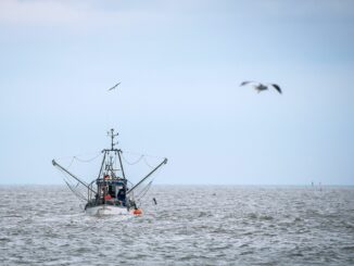 Die Schutzgebiete in der Ostsee könnten für die Fischer im Norden einschneidend sein. (Symbolbild)