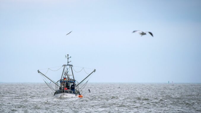 Bund unterstützt Fischereibetriebe mit drei Millionen Euro Die Schutzgebiete in der Ostsee könnten für die Fischer im Norden einschneidend sein. (Symbolbild)