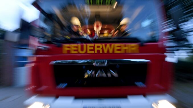 Freiwillige Feuerwehr Als der Hausbewohner den Brand bemerkte, konnte er Hunde und Katzen noch unverletzt aus dem Gebäude retten. (Symbolfoto).