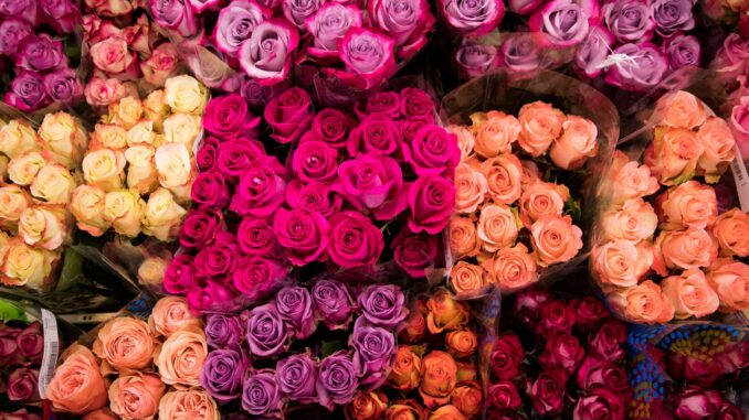 Schnittblumen Rund um den Valentinstag werden viele Blumensträuße verkauft.