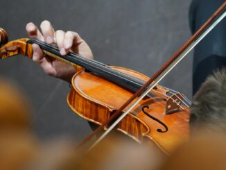 Auch die Hamburger Camerata ist bei dem Konzert dabei. (Archivbild)