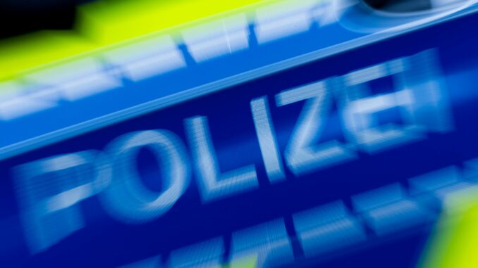 Einsatzwagen der Polizei Auf einem Rastplatz hielt die Polizei den Lkw-Fahrer an. (Symbolbild)