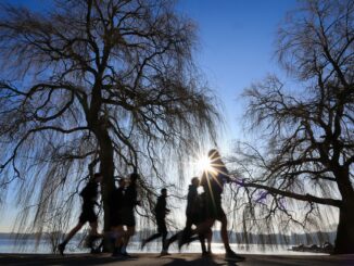 Der Frühling streckt die Fühler aus - in den nächsten Tagen bleibt es im Norden warm und sonnig.