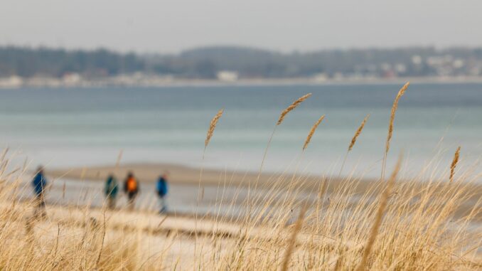 Jahresbilanz Schleswig-Holstein-Tourismus Ein Strandspaziergang passt zu jeder Jahreszeit.