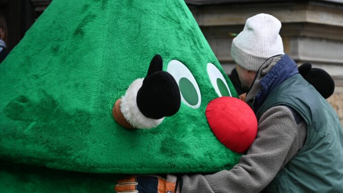 Prozess wegen Hausfriedensbruchs - Streit um Weihnachtsbaum Ein Gärtner muss sich erneut wegen Hausfriedensbruchs verantworten, weil er auf einem umzäunten Kita-Gelände heimlich einen Weihnachtsbaum aufgestellt hatte. (Archivbild)