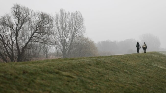 Wetter in Hamburg In Hamburg und Schleswig-Holstein wird es am Vormittag nebelig. (Symbolbild)