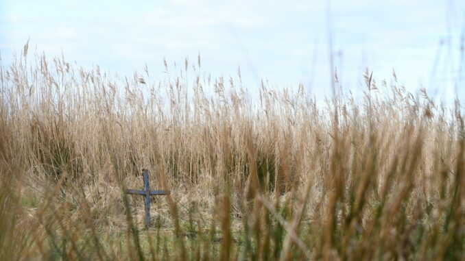 Zwei Jahre nach Leichenfund auf Sylt - Ermittlungen dauern an Auf diesem kleinen Spazierweg war im März 2023 die Leiche des 38-Jährigen in einem Auto gefunden worden.