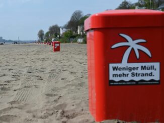 Der Elbstrand ist vor allem im Frühjahr und Sommer beliebt bei Besuchern.