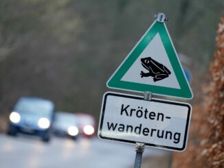Bei der Zerstörung der Amphibienzaunanlage entstand ein Schaden im sechsstelligen Bereich. (Symbolbild)