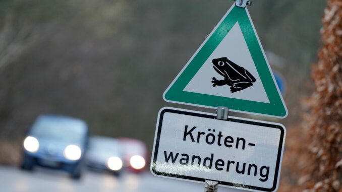 Bei der Zerstörung der Amphibienzaunanlage entstand ein Schaden im sechsstelligen Bereich. (Symbolbild)
