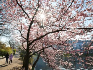 Zu sonnig, zu warm und zu trocken - so lautet die Bilanz des Deutschen Wetterdienstes für den April in Hamburg. (Archivbild)