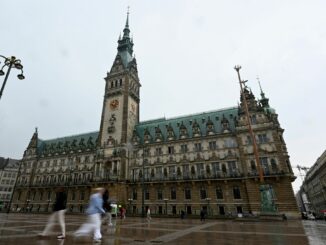 Sieben Wochen nach der Bürgerschaftswahl haben SPD und Grünen in Hamburg ihre Koalitionsverhandlungen abgeschlossen. (Archivbild)