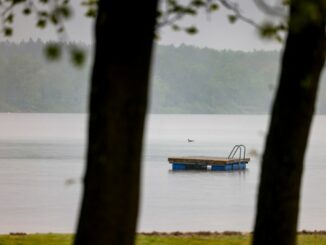 Eine Polizistin hat einen siebenjährigen Jungen aus dem See gerettet. (Archivbild)