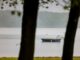 Eine Polizistin hat einen siebenjährigen Jungen aus dem See gerettet. (Archivbild)