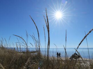 Sonne und Wind trocknen die Natur in Schleswig-Holstein aus. (Symbolbild)