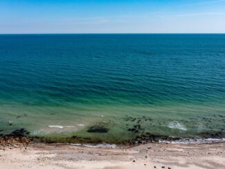 Mit einem Aktionsplan will Schleswig-Holstein die Ostsee besser schützen. (Symbolbild)