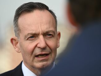 Die geschäftsführende Bundesregierung will wieder mehr deutsche Handelsschiffe unter deutsche Flagge bringen.