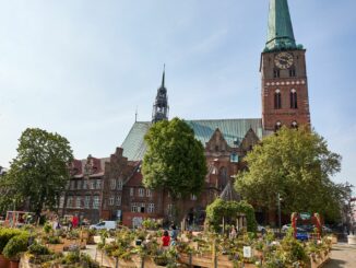 Die Lübecker St. Jacobi-Kirche hat einen Turmschaden. (Symbolbild)