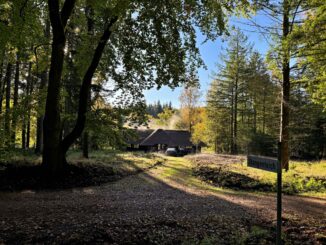 Nach Recherchen profitieren im Sachsenwald Unternehmen von niedrigen Steuern. (Archivbild)