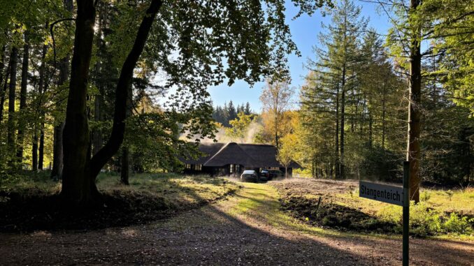 Steuer-Sonderfall Sachsenwald Nach Recherchen profitieren im Sachsenwald Unternehmen von niedrigen Steuern. (Archivbild)