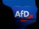 Bei einem Konzert im Gasthaus des AfD-Kreisvorsitzenden sollen rechtsextreme Parolen skandiert worden sein. (Symbolbild)
