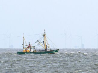 Krabbenfischer verlieren vor Gericht (Foto-aktuell).