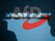 Kommt nun ein AfD-Verbotsfahren? (Symbolbild)