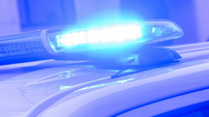 Blaulicht Die Hamburger Polizei sucht nach einem Tötungsdelikt in Hamburg-Moorfleet weiter nach Zeugen. (Symbolbild)