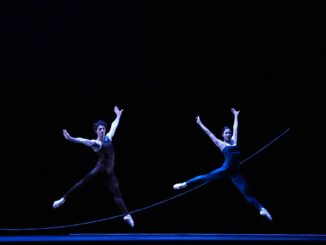 Um mehr Zeit für die aktuellen Veränderungen im Hamburg Ballett nach dem Intendanten-Wechsel zu haben, ist das Stück «Demian» verschoben worden. (Archivbild)