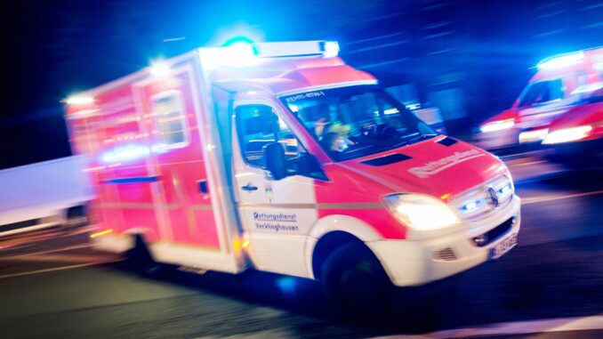 Tiger greift Mitarbeiterin in Tierpark an 400 Menschen sind bei einem Brand in Damp evakuiert worden. (Symbolbild)