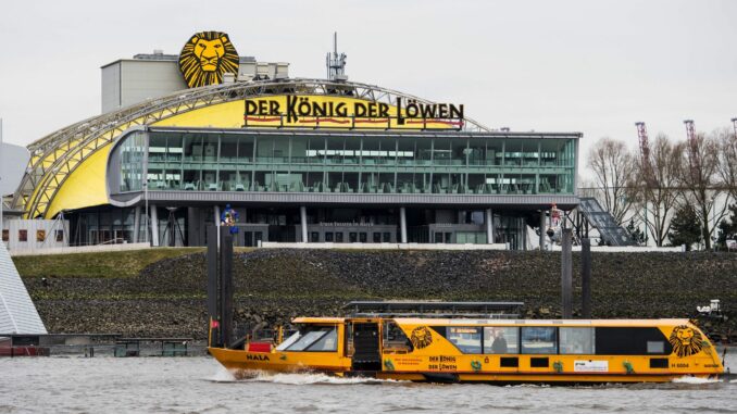Musical-Theater "König der Löwen" Für die Musicals «MJ - Das Michael Jackson-Musical» und «Der König der Löwen» werden Nachwuchstalente gesucht. (Archivbild)