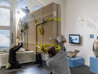 Das Fossil ist eine Dauerleihgabe des Naturhistorischen Museums Braunschweig.