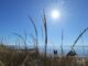 Viel Sonne und kaum Regen machen den Landwirten in Schleswig-Holstein langsam Sorgen.