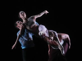 Beim Hamburger Ballett gibt es Unmut über die neue Leitung, einige Solisten haben bereits gekündigt.