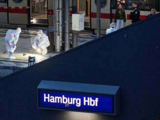 Die Verdächtige soll laut «Bild» polizeibekannt sein.