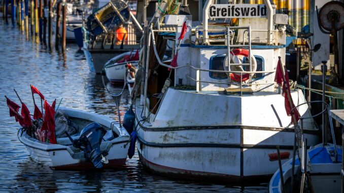 Ostseefischer Für die Ostseefischer gibt es wegen der schlechten Entwicklung der Bestände im kommenden Jahr wohl nur wenig zu fangen (Archivbild).