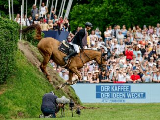 Der Star ist der Parcours: der Derby-Platz mit seinem berühmten Wall.