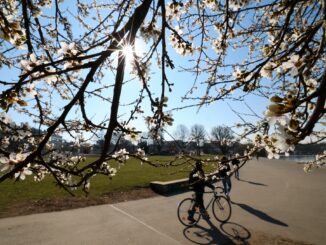 In Hamburg war der Frühling dem DWD zufolge wämer, trockener und sonniger als üblich. (Archivbild)
