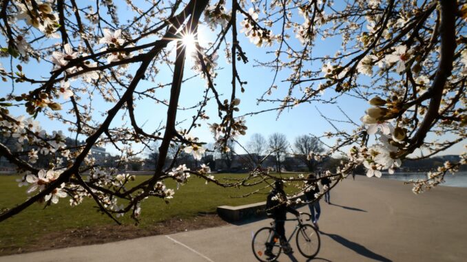 Warmer und trockener Frühling in Hamburg In Hamburg war der Frühling dem DWD zufolge wämer, trockener und sonniger als üblich. (Archivbild)