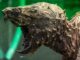 Geierschildkröten können ein Gewicht von rund 100 kg erreichen - und sind nicht ungefährlich. (Symbolbild)